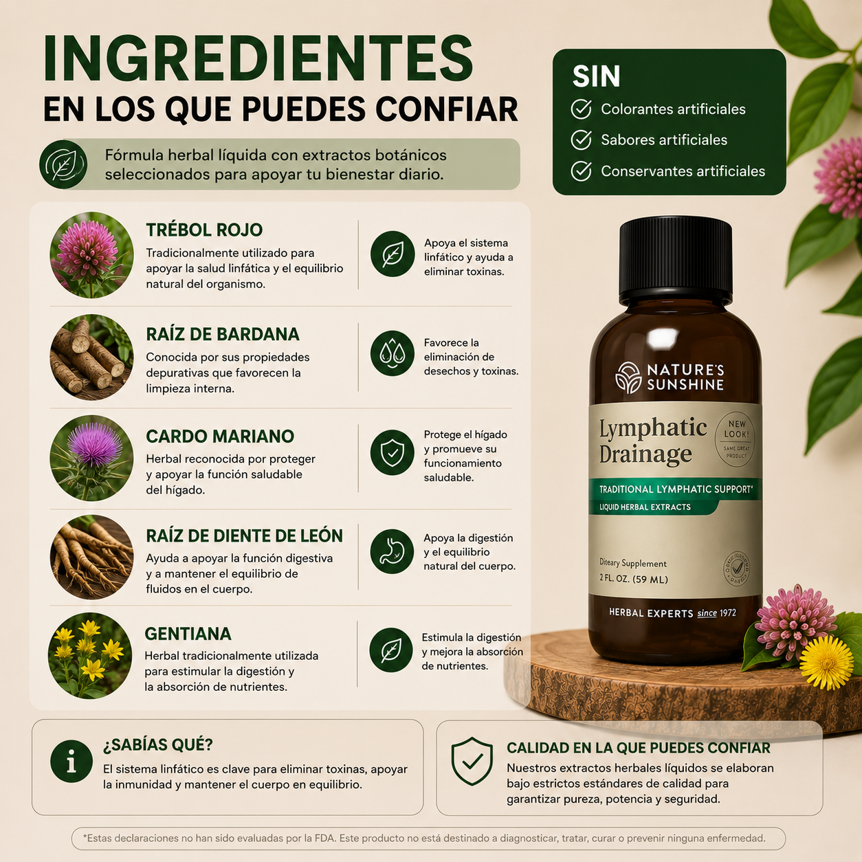 Lymphatic Drainage™ ORIGINAL | Suplemento Herbal para el Drenaje Linfático